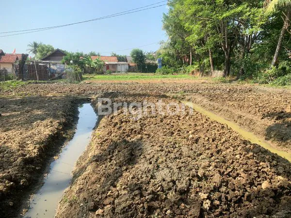 image KAVLING JAGAWANA (2)