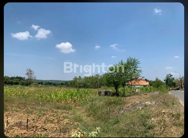 image TANAH TAMBANG PASIR SILICA / BATAKO RAYA BULU - JATIROGO, TUBAN (1)
