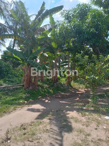 image TANAH AREA DWIKORA II, PALEMBANG (6)