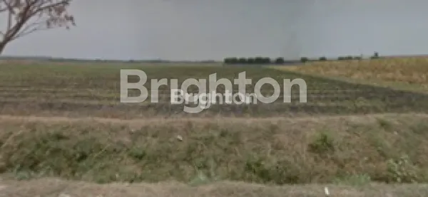 Gambar Property +-5200 M² KAVLING SIDOREJO, JETIS, MOJOKERTO