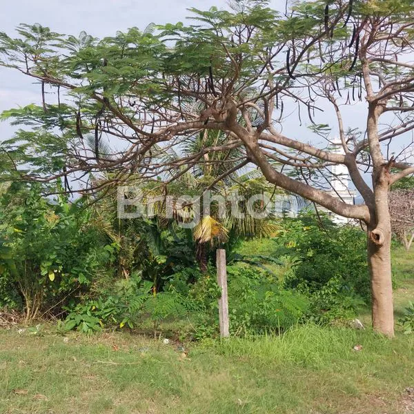 image LAHAN VIEW LAUT DI PANTAI PANDAWA BALI (2)