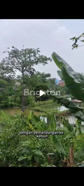 image JUAL TANAH + GUDANG, SHM LENGKAP, HARGA NEGO (3)