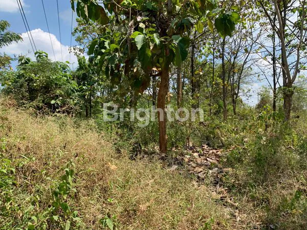 image TANAH SHM - JALAN RAYA BULU - JATIROGO (4)