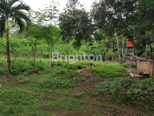 image TANAH DI PINGGIR JALAN RAYA BOJA - KALIWUNGU KENDAL (2)