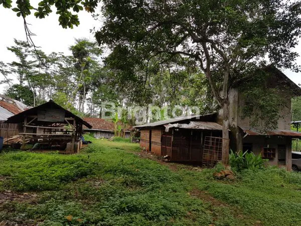 image TANAH DI PINGGIR JALAN RAYA BOJA - KALIWUNGU KENDAL (3)