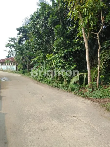 LAHAN STRATEGIS DEKAT TOL SERANG BANTEN