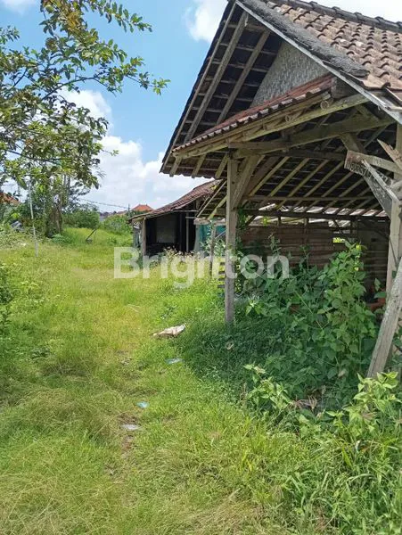 image SEWA TANAH ABIAN SEMAL  (1)