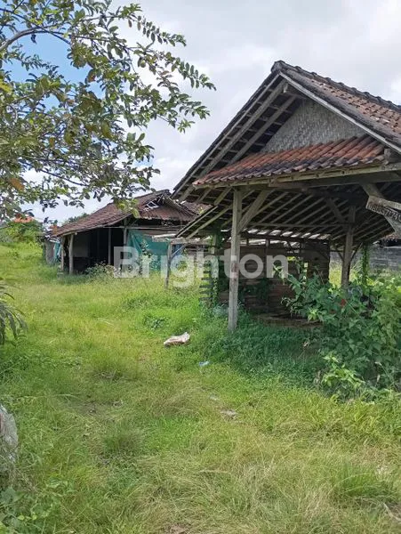 image SEWA TANAH ABIAN SEMAL  (2)