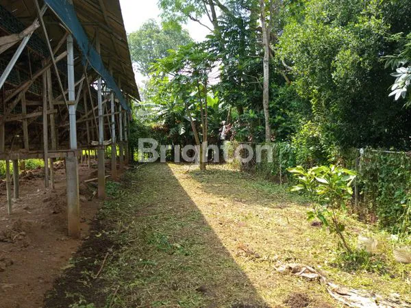 image TANAH, DAN PETERNAKAN AYAM, SIDORAHAYU WAGIR (5)