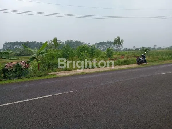 image LAHAN STRATEGIS 5 HEKTAR DI CIPEUNDEUY (3)