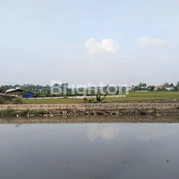 image TANAH 2 HEKTAR STRATEGIS DI RAJEG JALAN RAYA (5)