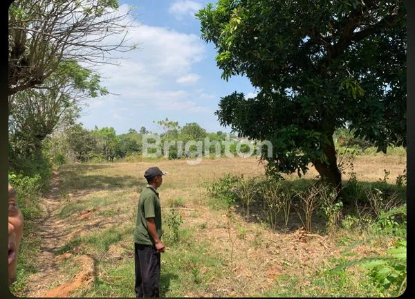 image TANAH TAMBANG PASIR SILICA / BATAKO RAYA BULU - JATIROGO, TUBAN (3)