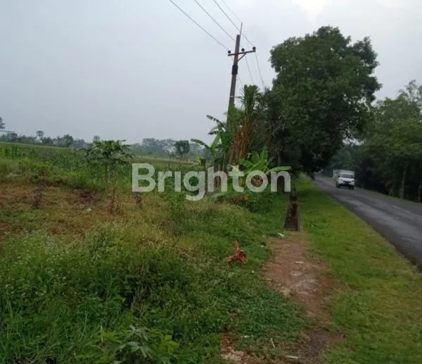 image TANAH LUAS 50.000M² DI BANDUNG BARAT (1)