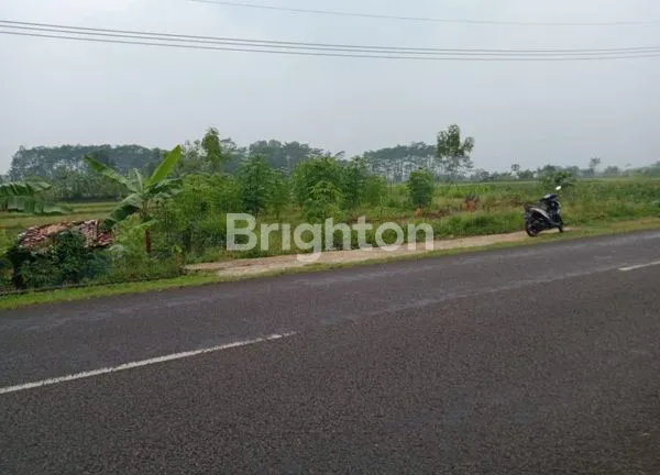 image TANAH LUAS 50.000M² DI BANDUNG BARAT (7)