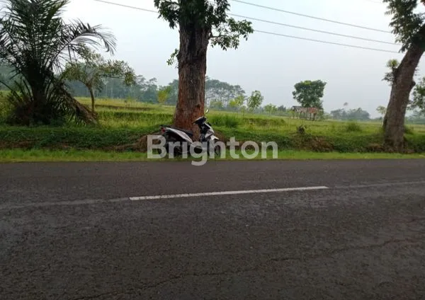 image TANAH LUAS 50.000M² DI BANDUNG BARAT (3)