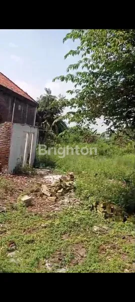 image TANAH MURAH KEDAMEAN (2)