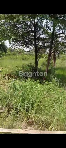 image TANAH MURAH KEDAMEAN (1)