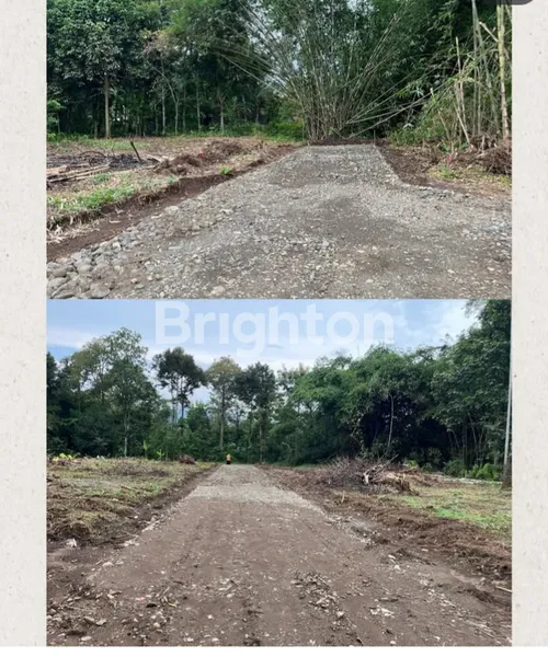 image DI JUAL TANAH STRATEGIS, COCOK UNTUK INVESTASI DI PURBALINGGA. (2)