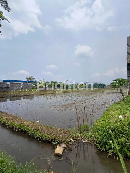 TANAH POROS JALAN RAYA MAYJEN SUNGKONO KEDUNG KANDANG KOYA MALANG