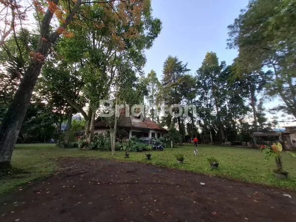 image VILLA EKSKLUSIF DI LEMBANG, HUNIAN PREMIUM (2)