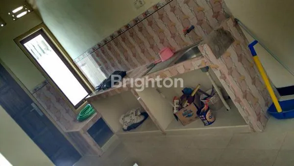 image JERUK WAGE, SIDOARJO (6)