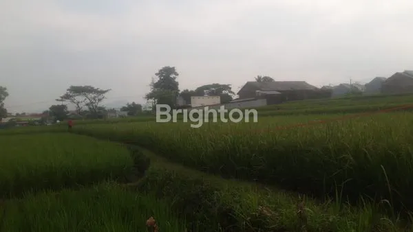 DI JUAL SAWAH NAGRAK CIANJUR