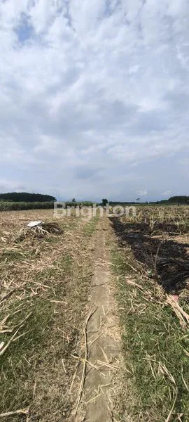 image INVESTASI LAHAN PRIMA UNTUK HUNIAN (5)