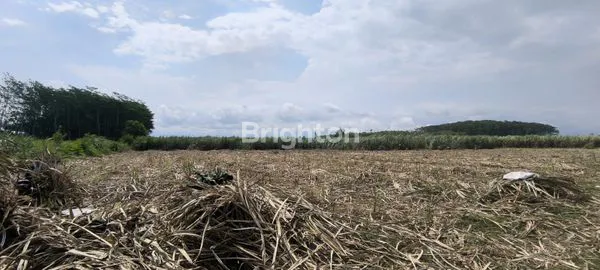 image INVESTASI LAHAN PRIMA UNTUK HUNIAN (6)