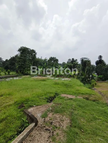 image TANAH MEGAMENDUNG BOGOR (5)