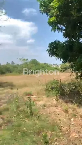 image TANAH SHM 3.315M² STRATEGIS DI JATIROGO (3)