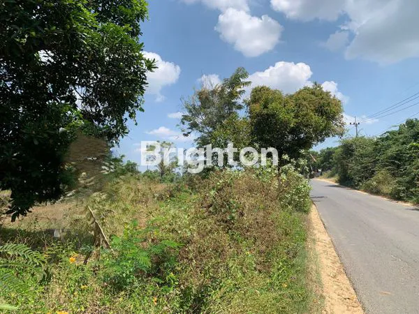 image TANAH SHM 3.315M² STRATEGIS DI JATIROGO (2)