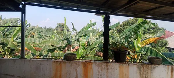 image DIJUAL CEPAT RUMAH SIAP HUNI DI PERUMAHAN CIMANGGU PERMAI (7)