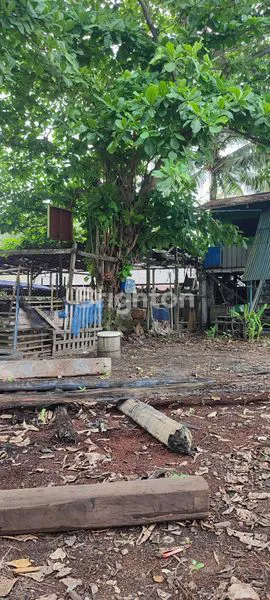 image TANAH PINGGIR LAUT INVESTASI JANGKA PANJANG UNTUK WORKSHOP ATAU GALANGAN (4)