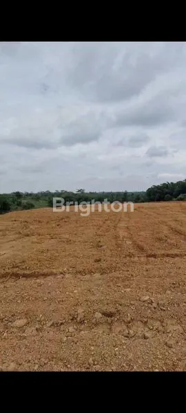 image TANAH LUAS 29.000M² SUDAH RATA DI TENJO BOGOR (2)