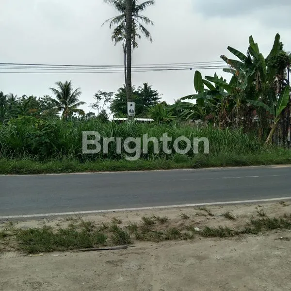 image TANAH STRATEGIS DI JALAN KARANG ANYAR RAYA, LAMPUNG SELATAN (2)