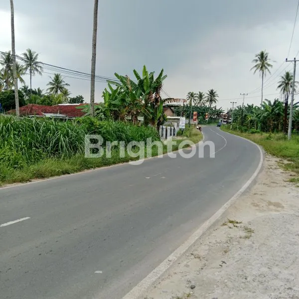 image TANAH STRATEGIS DI JALAN KARANG ANYAR RAYA, LAMPUNG SELATAN (6)