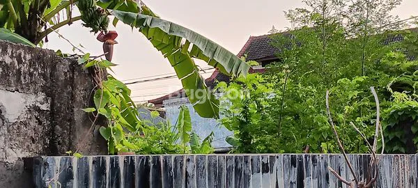 image DIJUAL TANAH DAERAH RENON (1)