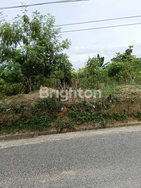 image TANAH PREMIUM DIJALAN HANGTUAH (2)