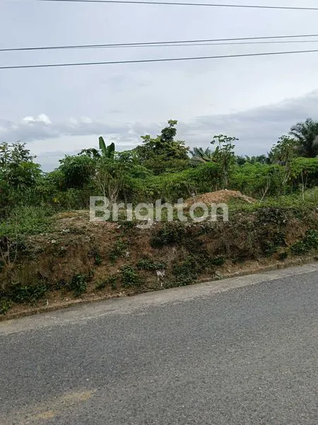 image TANAH PREMIUM DIJALAN HANGTUAH (1)