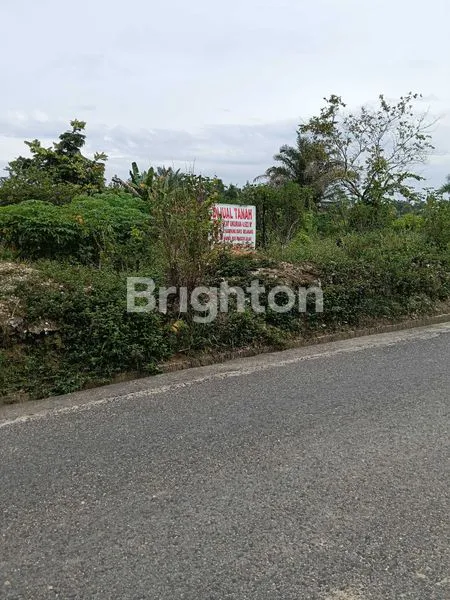 image TANAH PREMIUM DIJALAN HANGTUAH (3)