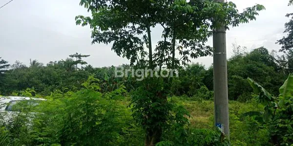 image LAHAN 4327M DI MUSTIKA SARI BANTAR GEBANG (6)