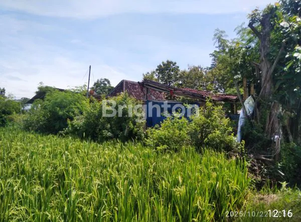 image TANAH KAVLING STRATEGIS MASARAN SRAGEN (5)