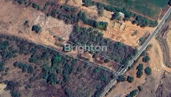 image TANAH SHM DI JL RAYA BULU JATIROGO (1)