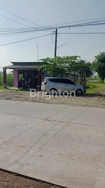 image TANAH JETIS MOJOKERTO JAWA TIMUR DEKAT PINTU TOL (4)
