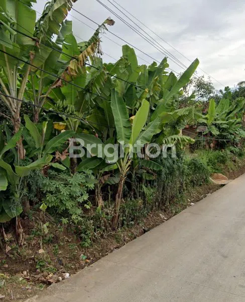 TANAH MURAH MERIAH DI JASINGA BOGOR BARAT