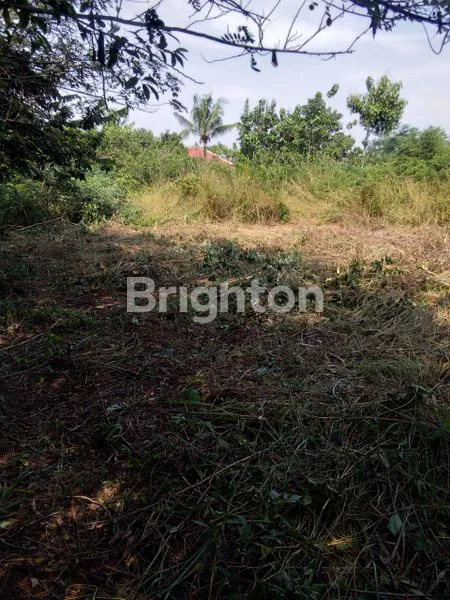 DI JUAL TANAH DI SERANG