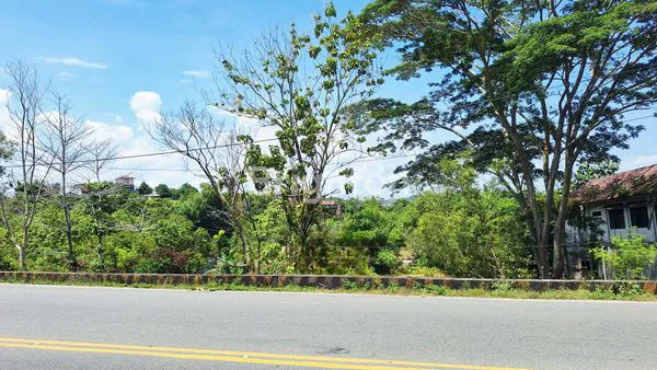 image TANAH PREMIUM 4200M² DI JL SYARIFUDDIN YOES (1)