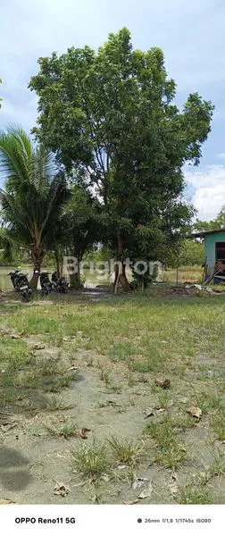 image LAHAN KOSONG DI BATANG KUIS- PANTAI LABU (2)