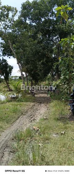 image LAHAN KOSONG DI BATANG KUIS- PANTAI LABU (6)