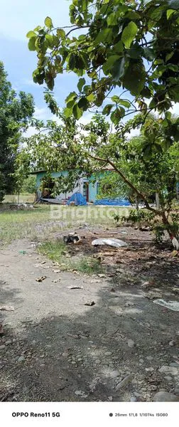 image LAHAN KOSONG DI BATANG KUIS- PANTAI LABU (8)